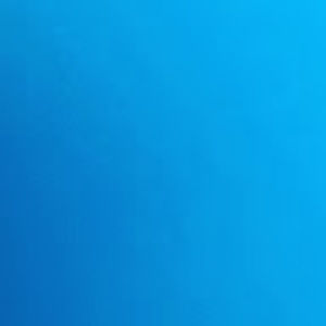 Meet your Posher, Nina